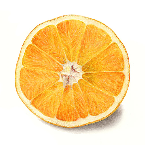 orange slice
