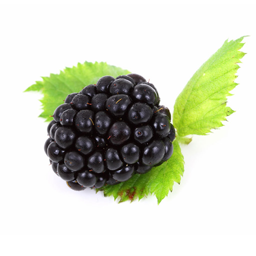 blackberry