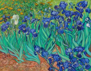 Vincent Van Gogh's Irises (1889)