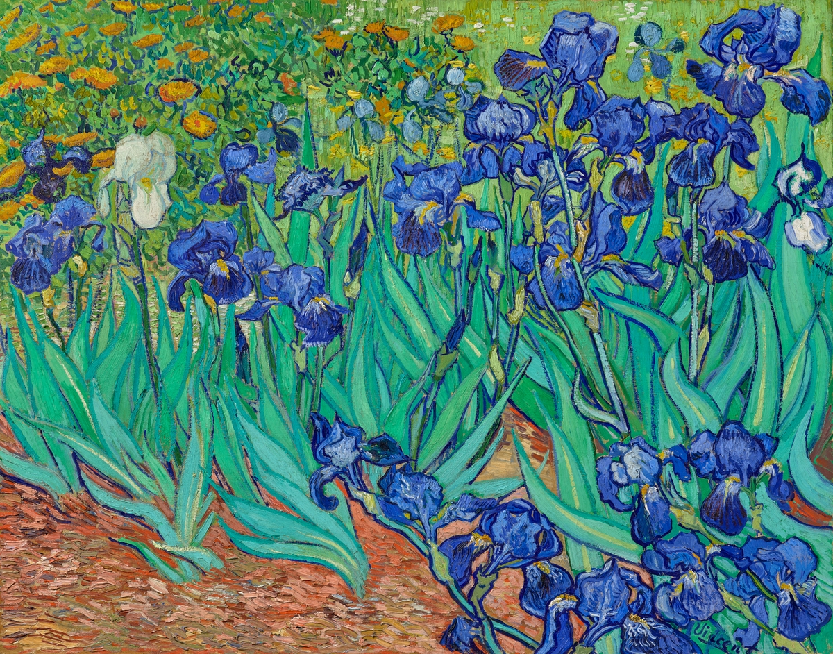 Vincent Van Gogh's Irises (1889)